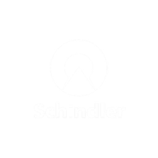schin